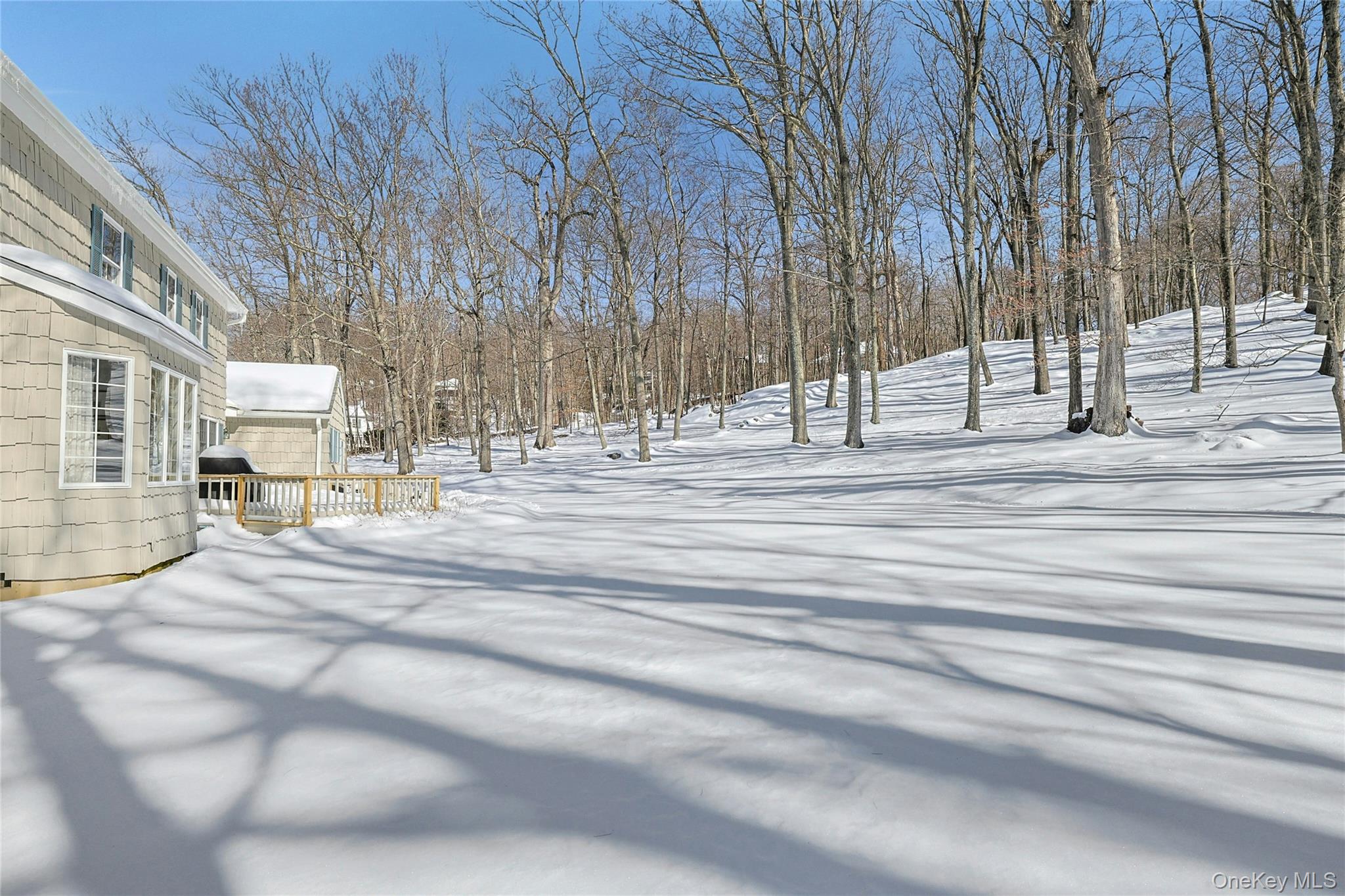 270 Law Road Briarcliff Manor, NY 10510 - Photo 33 of 43 Back Yard