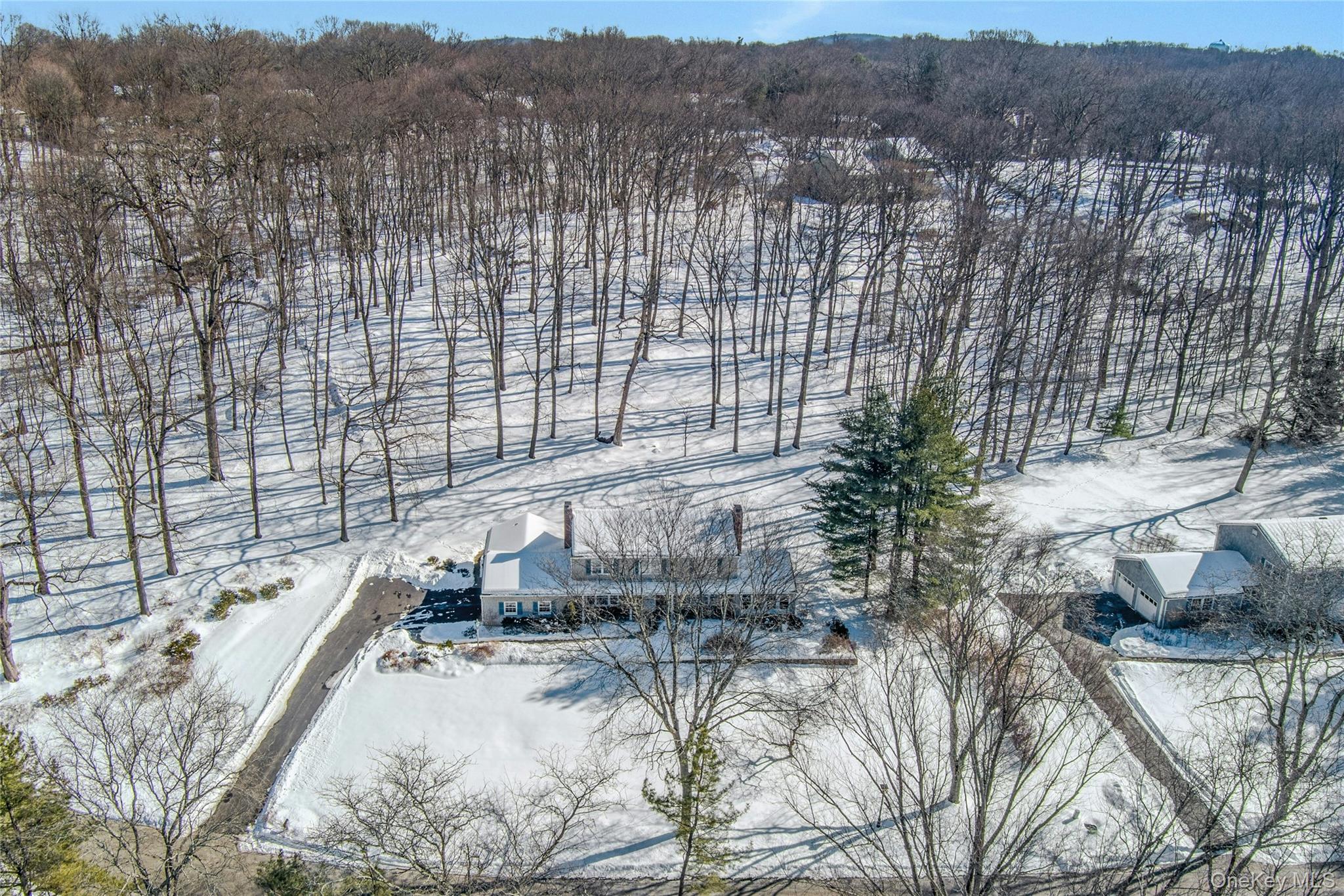 270 Law Road Briarcliff Manor, NY 10510 - Photo 35 of 43 Wooded Back of Property