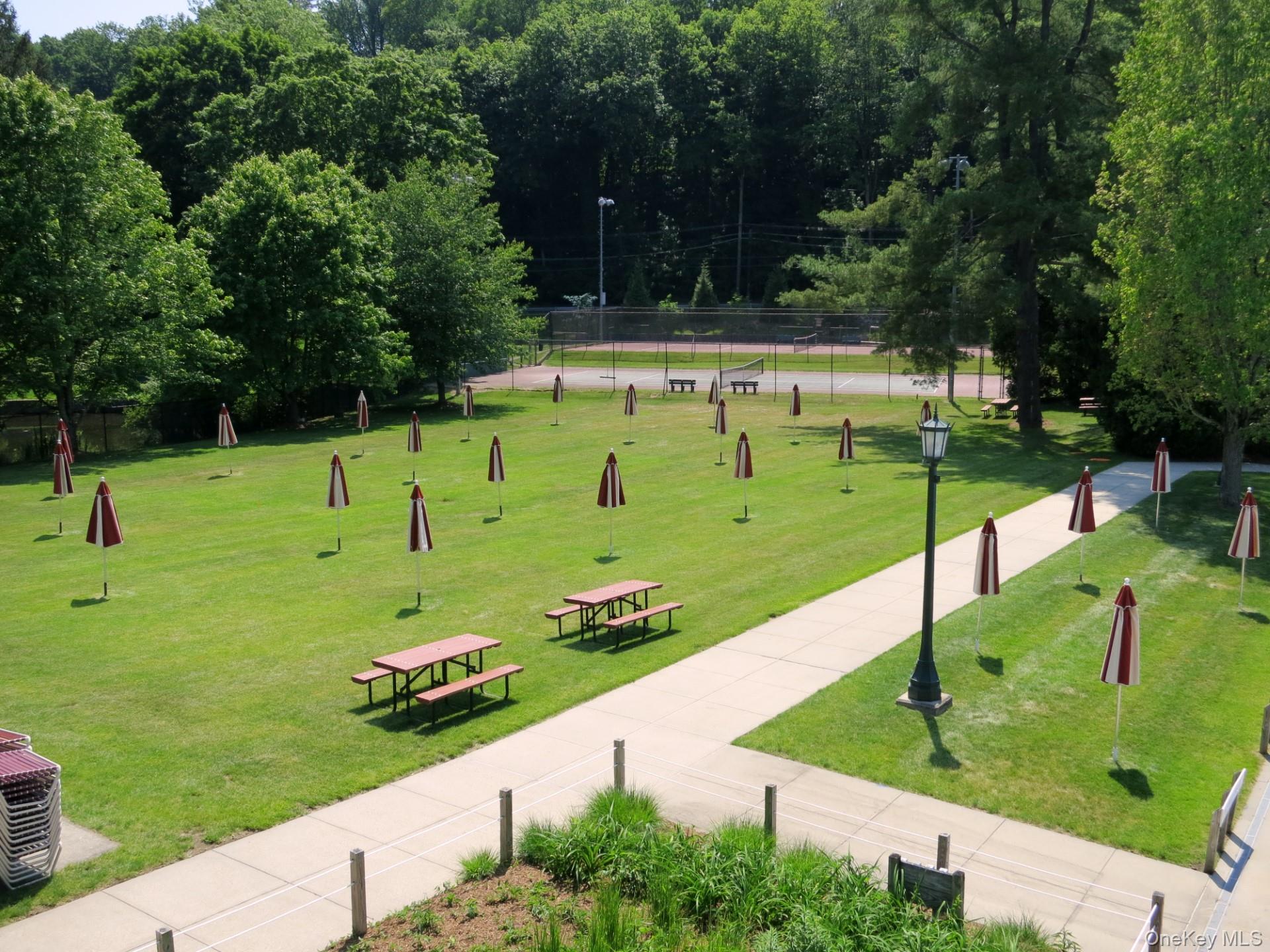 270 Law Road Briarcliff Manor, NY 10510 - Photo 39 of 43 Law Park Pool Lawn
