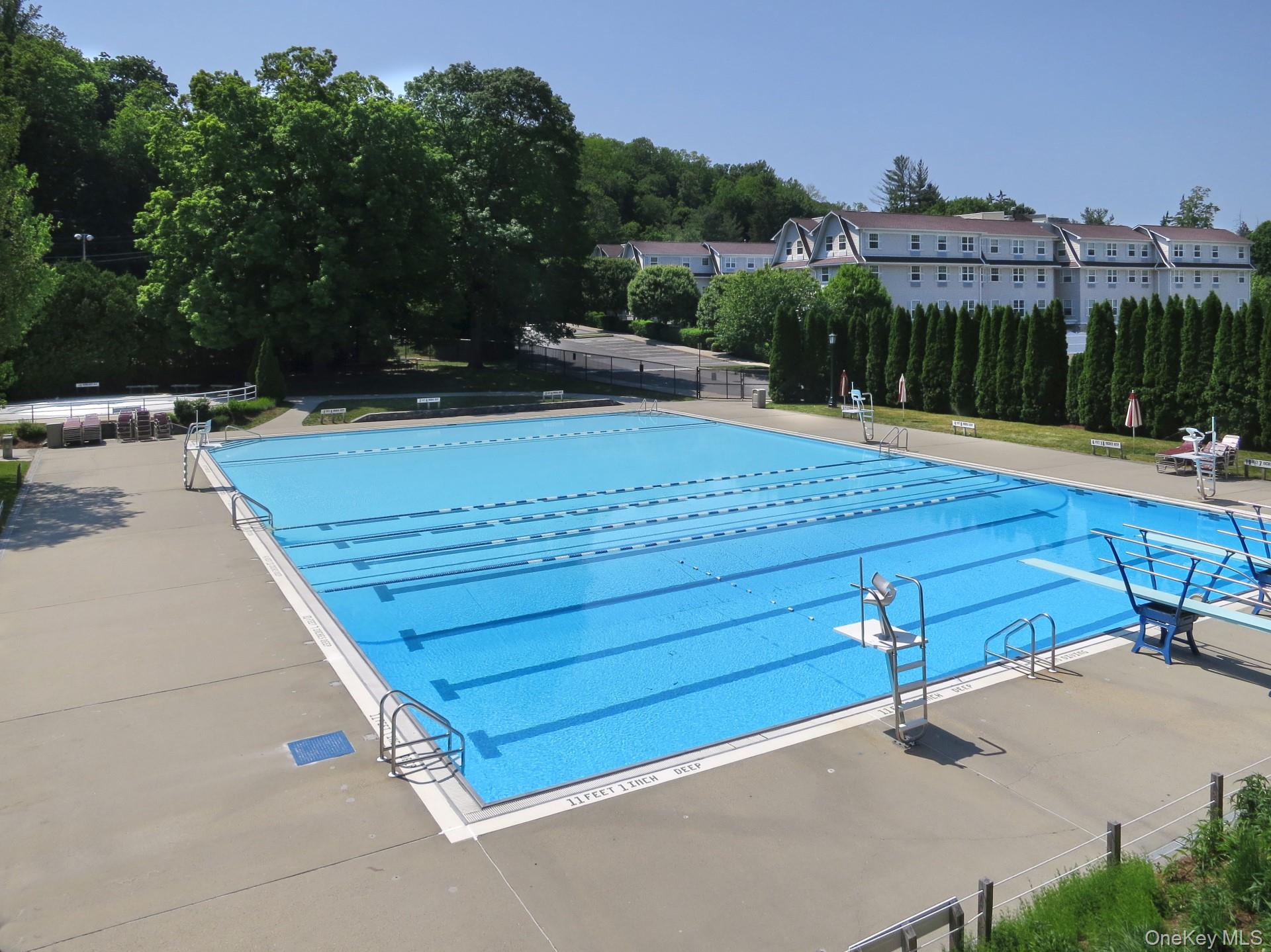 270 Law Road Briarcliff Manor, NY 10510 - Photo 40 of 43 Village Swimming Pool