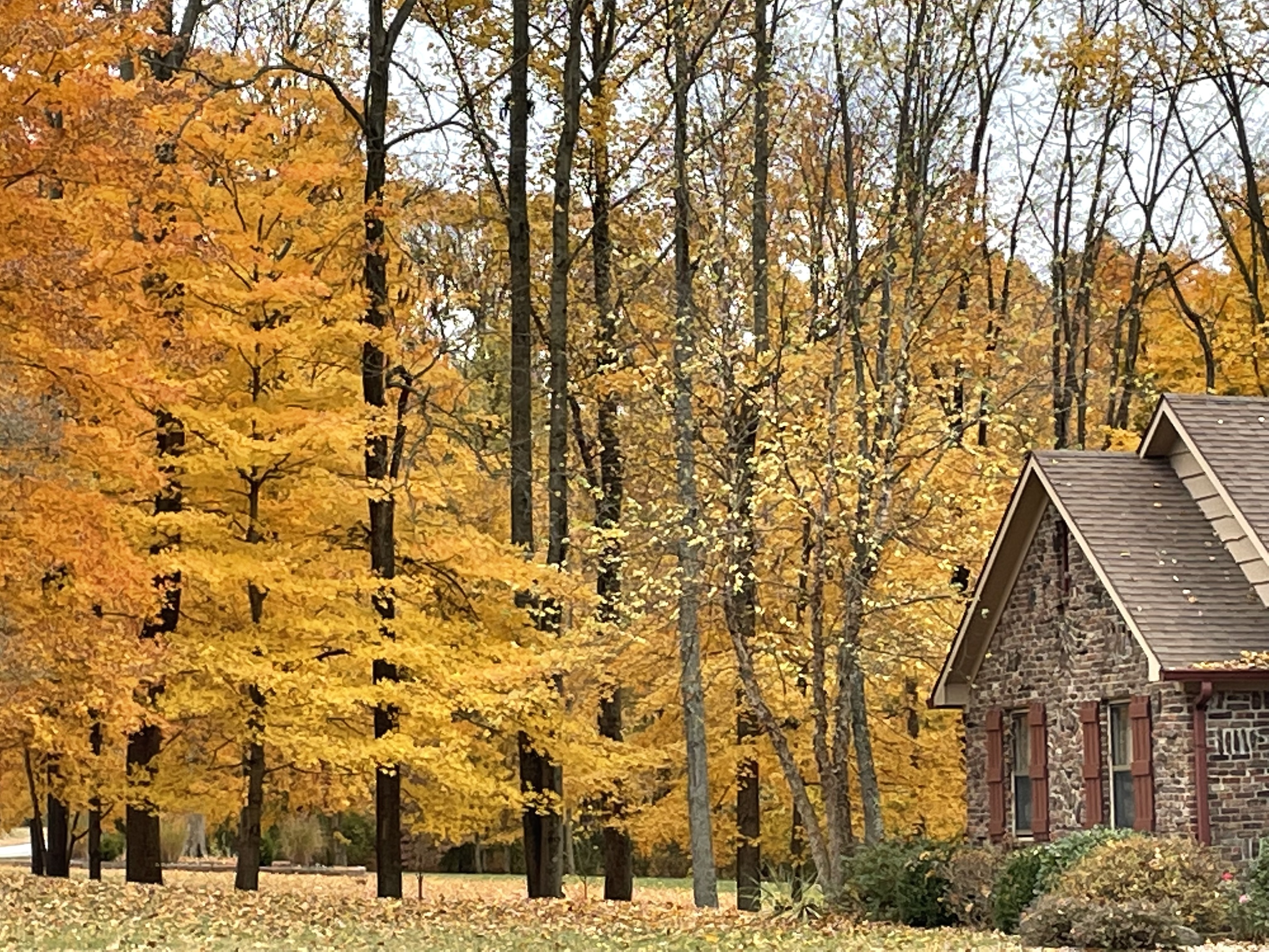 12186 Paddock Road Camby, IN 46113 - Photo 21 of 25