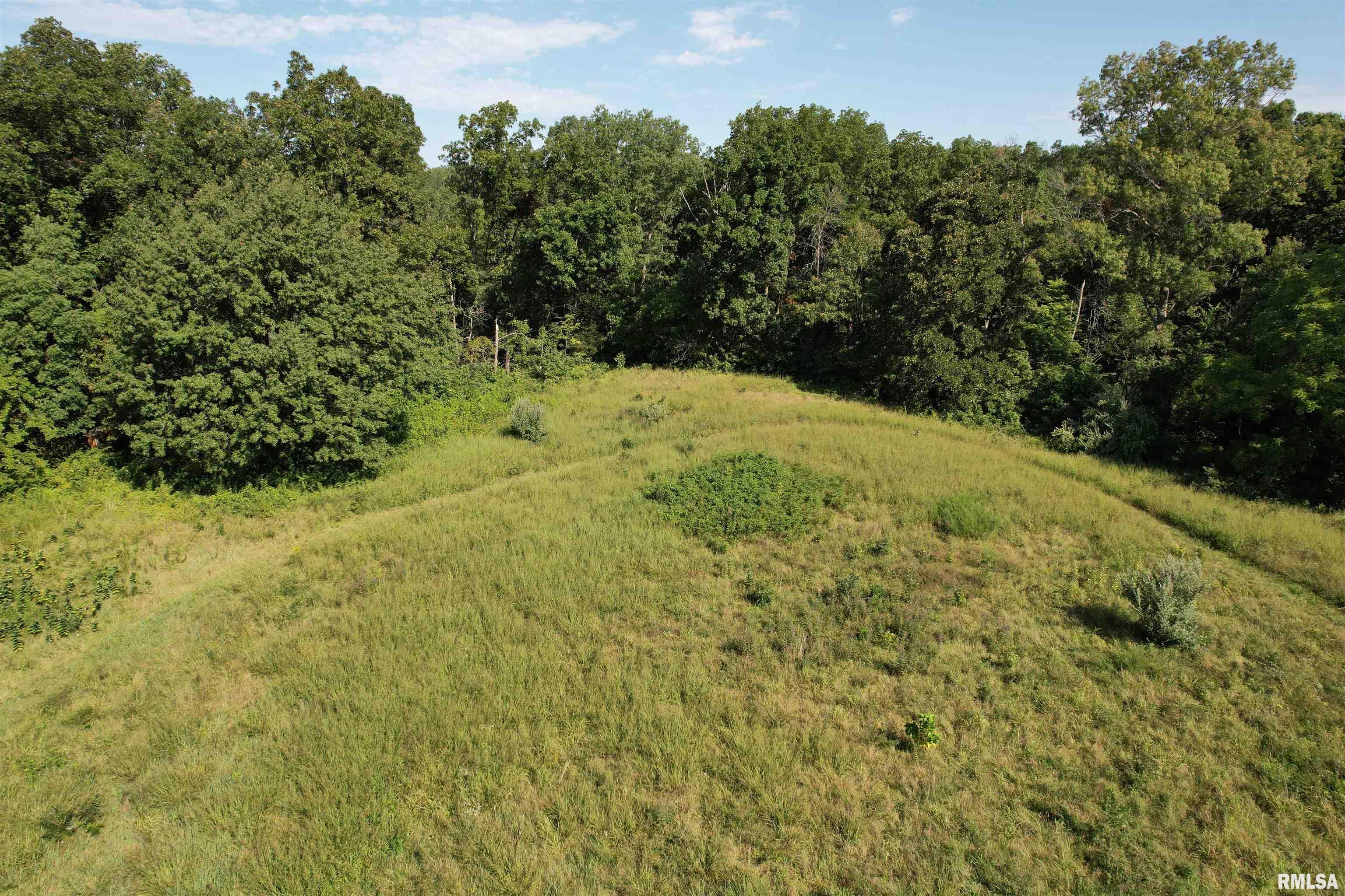 9912 East Homestead Road Dix, IL 62830 - Photo 7 of 18