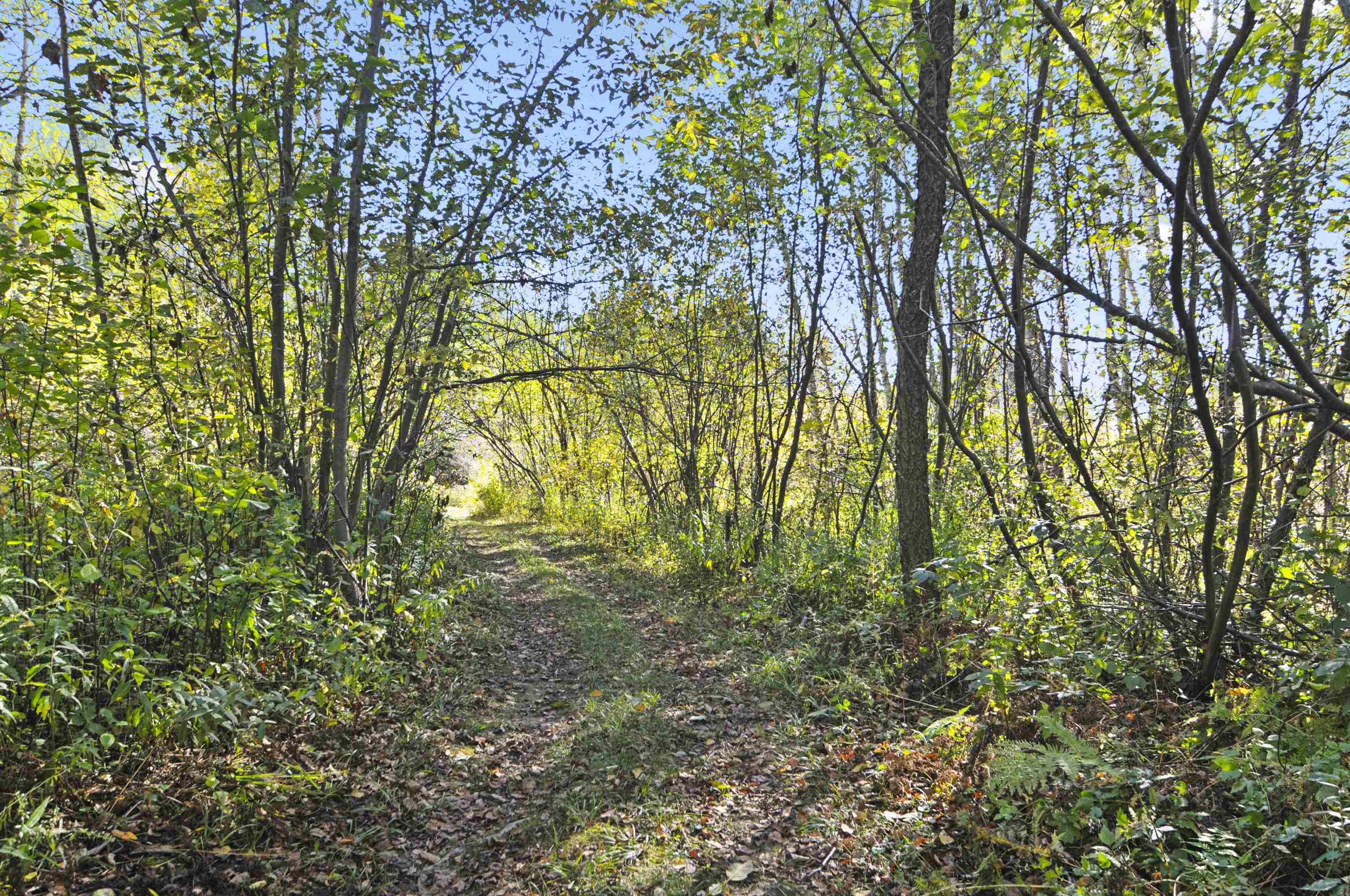 8780 30 1/2 Road Cadillac, MI 49601 - Photo 55 of 82