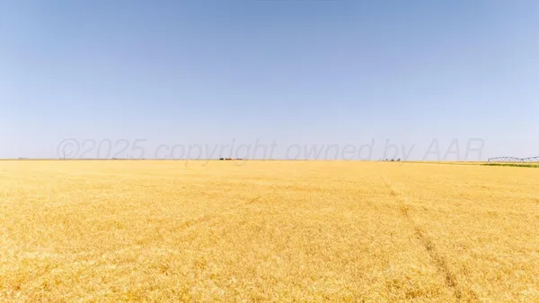 a view of an ocean and a beach