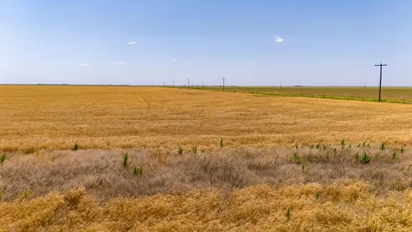 a bathroom with a sink and a shower