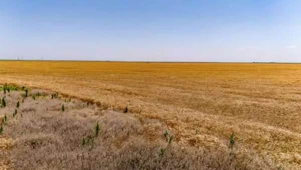 $880,000 | 293 Fm, Panhandle, TX 79068