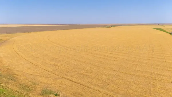 a view of an ocean and beach