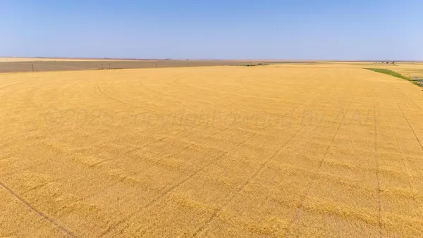 a view of an ocean and beach