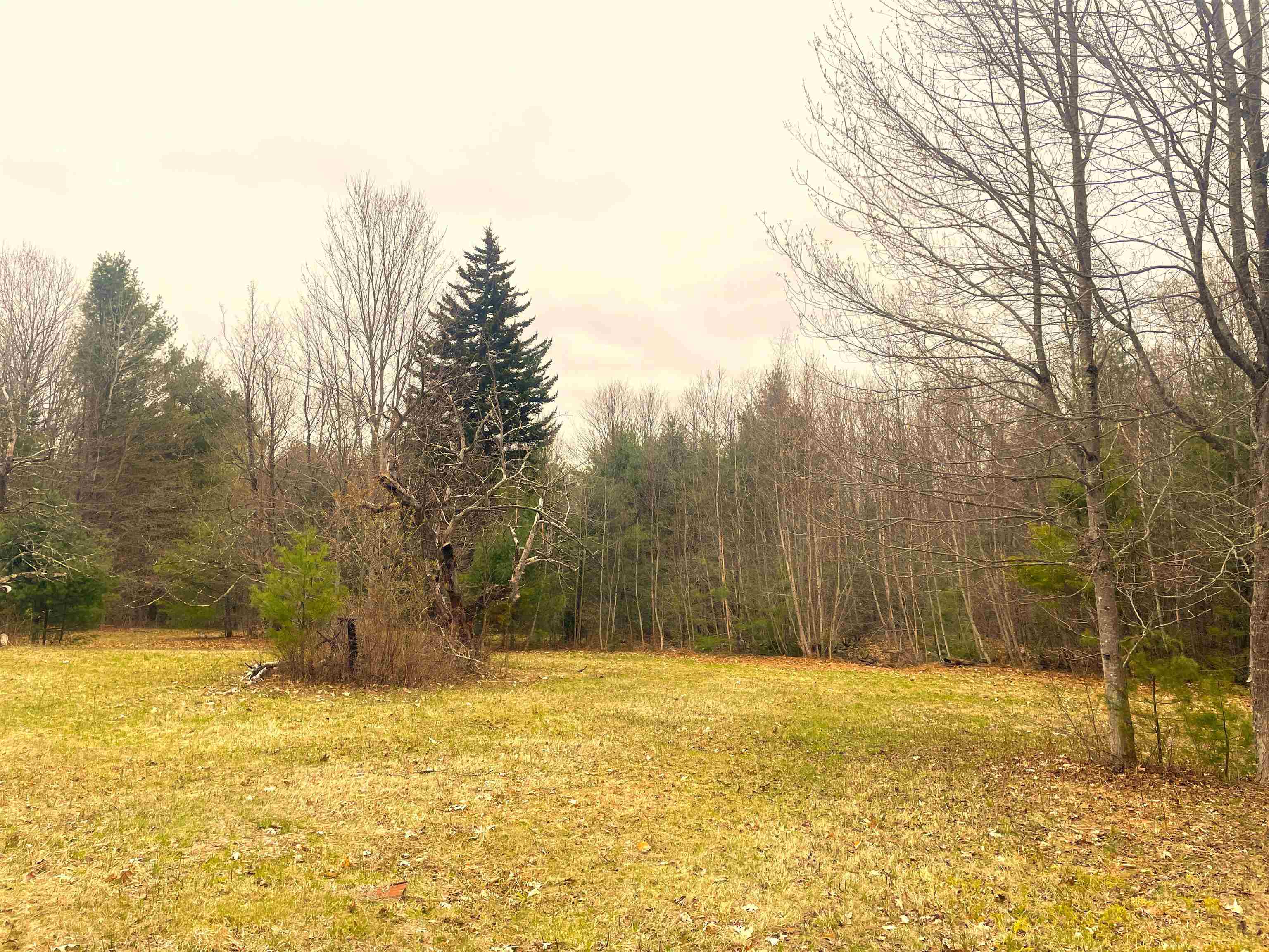 491 Whitneyville Road Halifax, VT 05358 - Photo 7 of 11