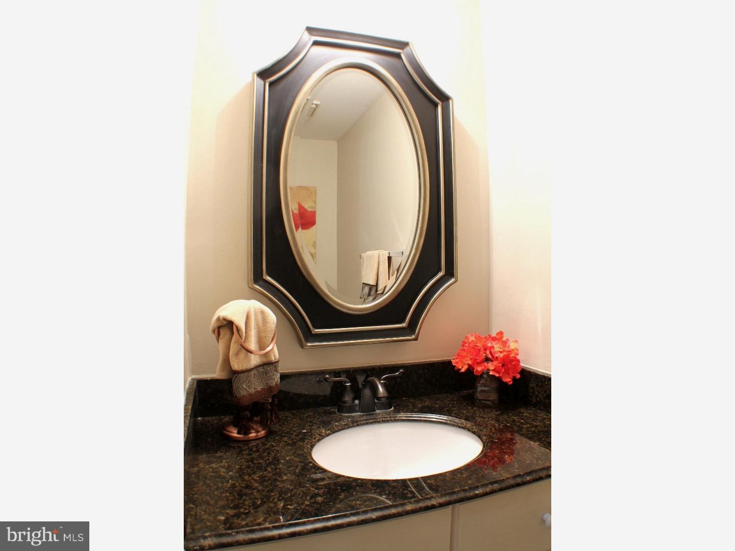 16 Eden Roc New Hope, PA 18938 - Photo 12 of 25 Bathroom