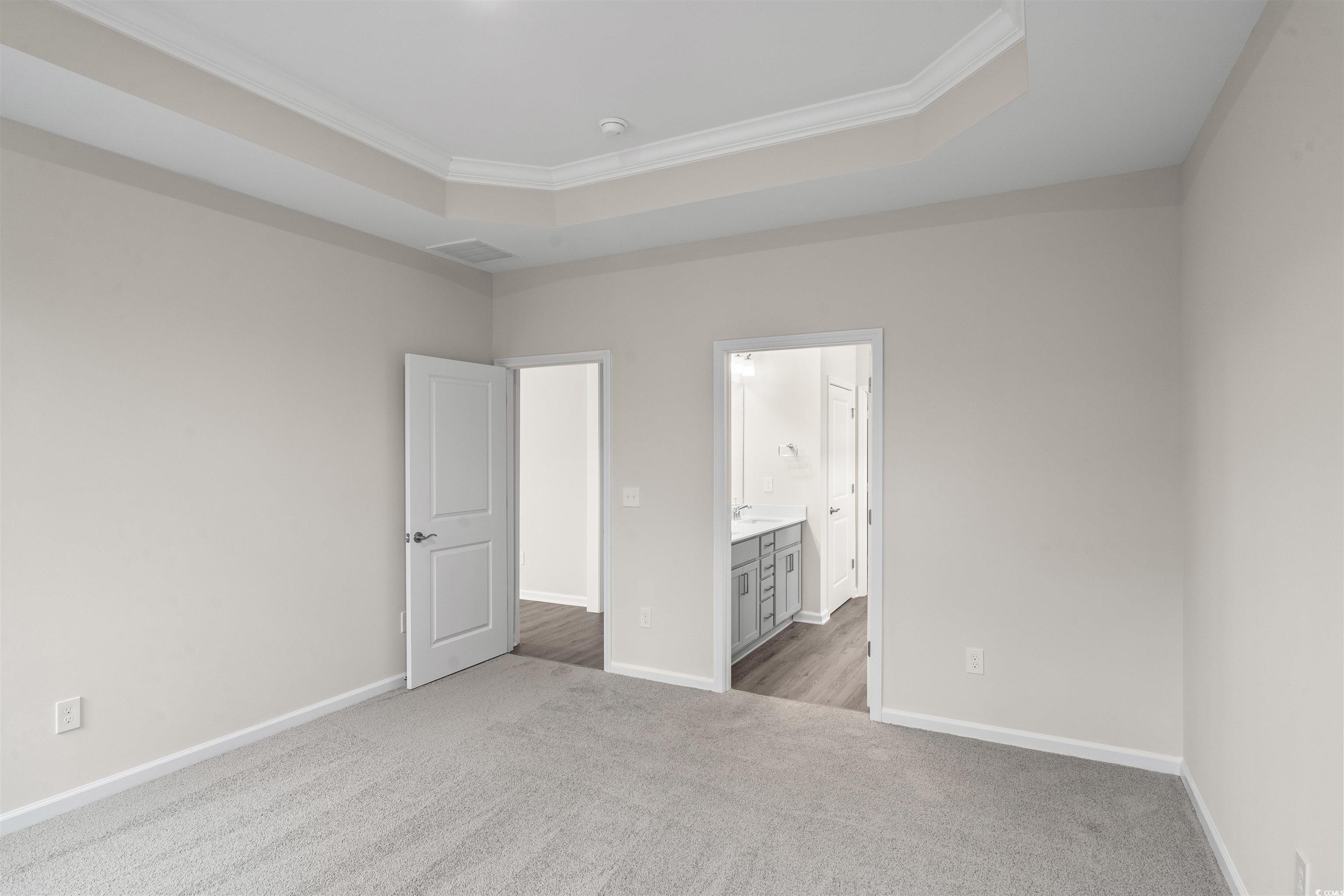 512 Sheepbridge Way Longs, SC 29568 - Photo 19 of 26 Primary bedroom with a healthy amount of sunlight, ornamental molding, and a tray ceiling