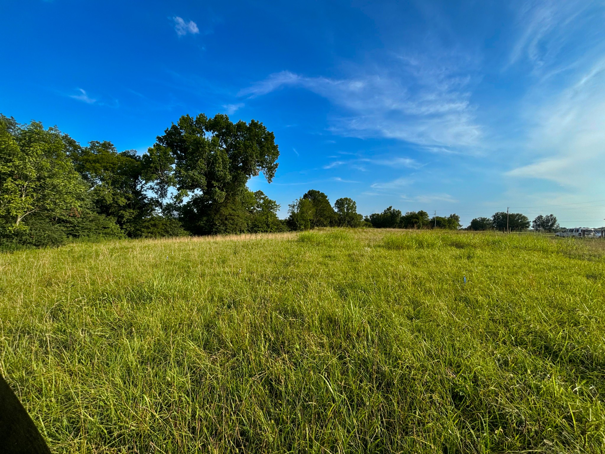 2 Canoe Branch Road Castalian Springs, TN 37031 - Photo 3 of 4 a view of yard with ocean view