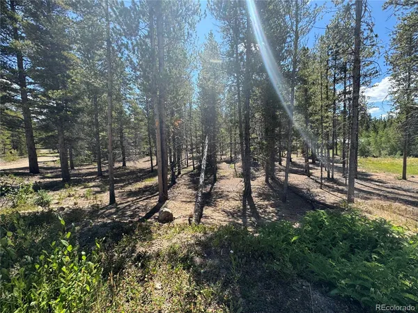 a view of outdoor space with lots of trees