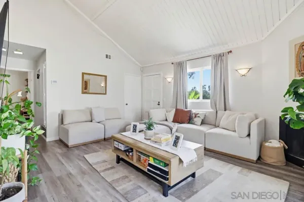 a living room with furniture and a potted plant