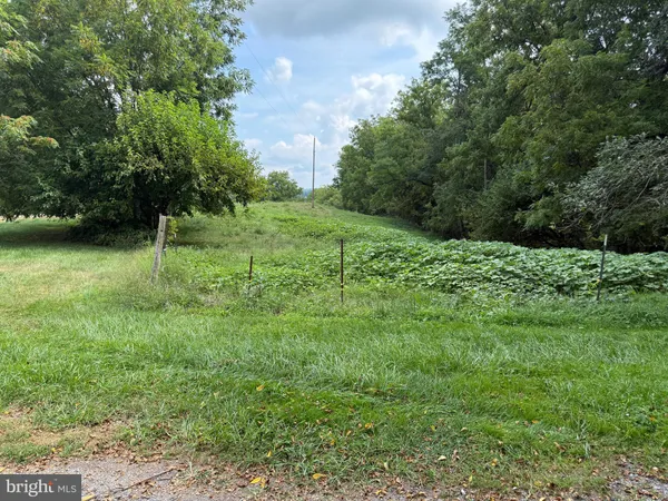 a view of a field with an trees