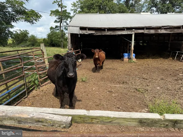 a view of an ocean and beach
