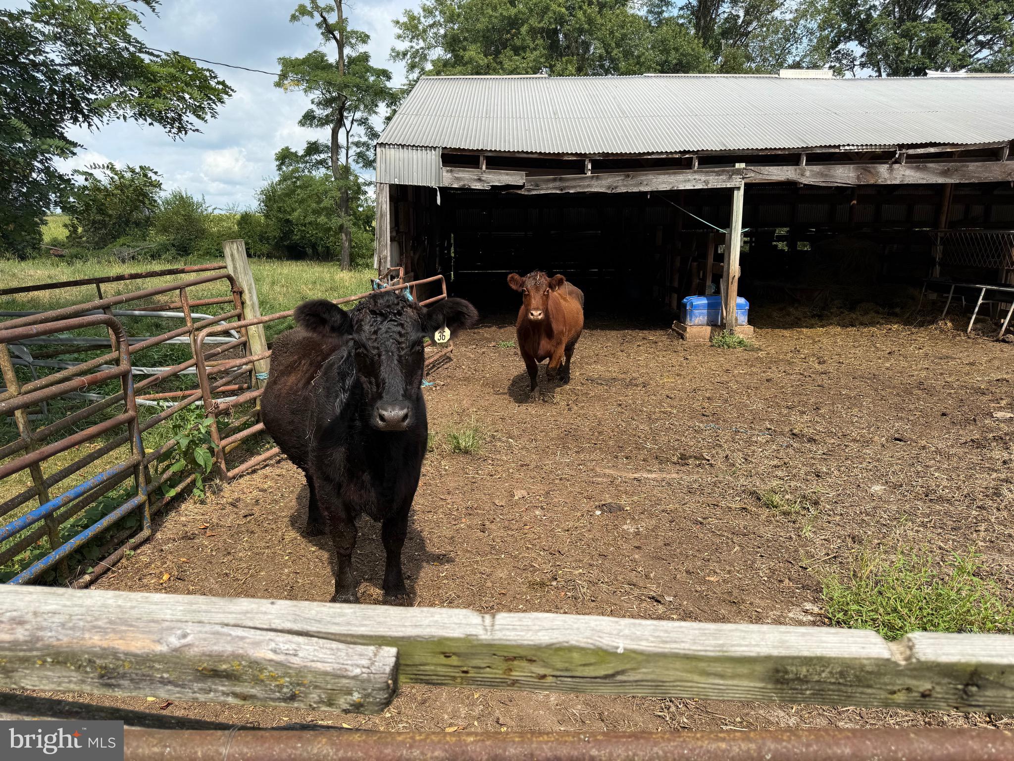 1309 Trevanion Road Union Bridge, MD 21791 - Photo 49 of 70 a view of outdoor space and yard