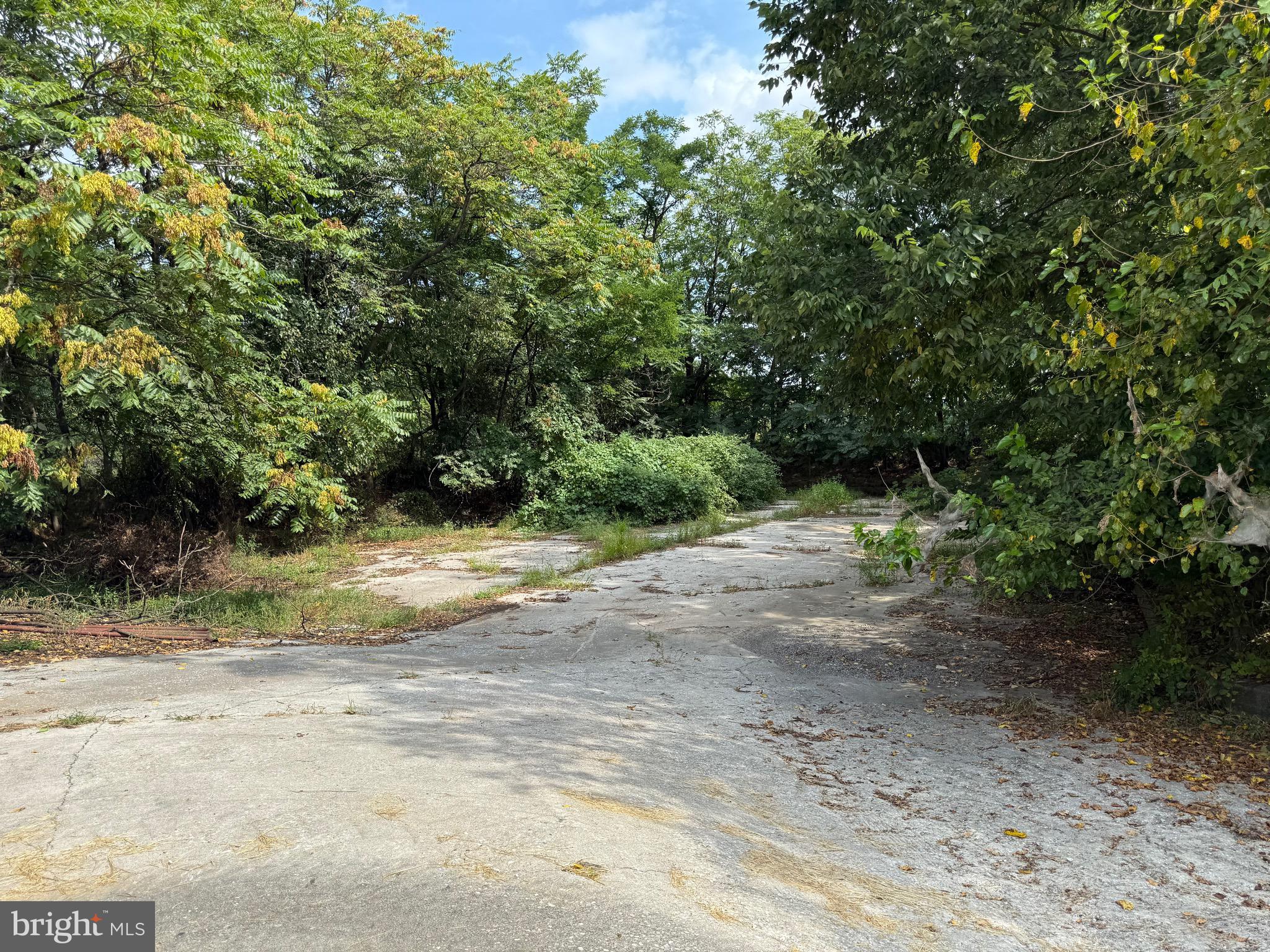 1309 Trevanion Road Union Bridge, MD 21791 - Photo 52 of 70 a view of a dirt road with trees in the background