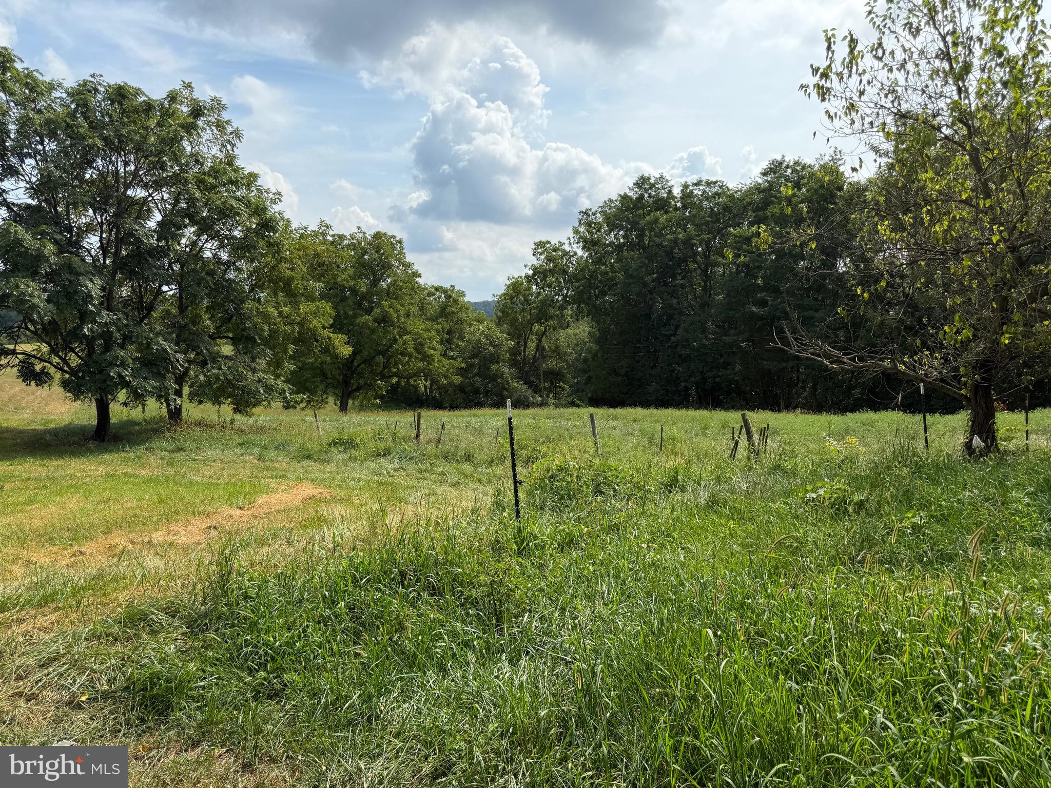 1309 Trevanion Road Union Bridge, MD 21791 - Photo 58 of 70 a view of a field with trees in the background