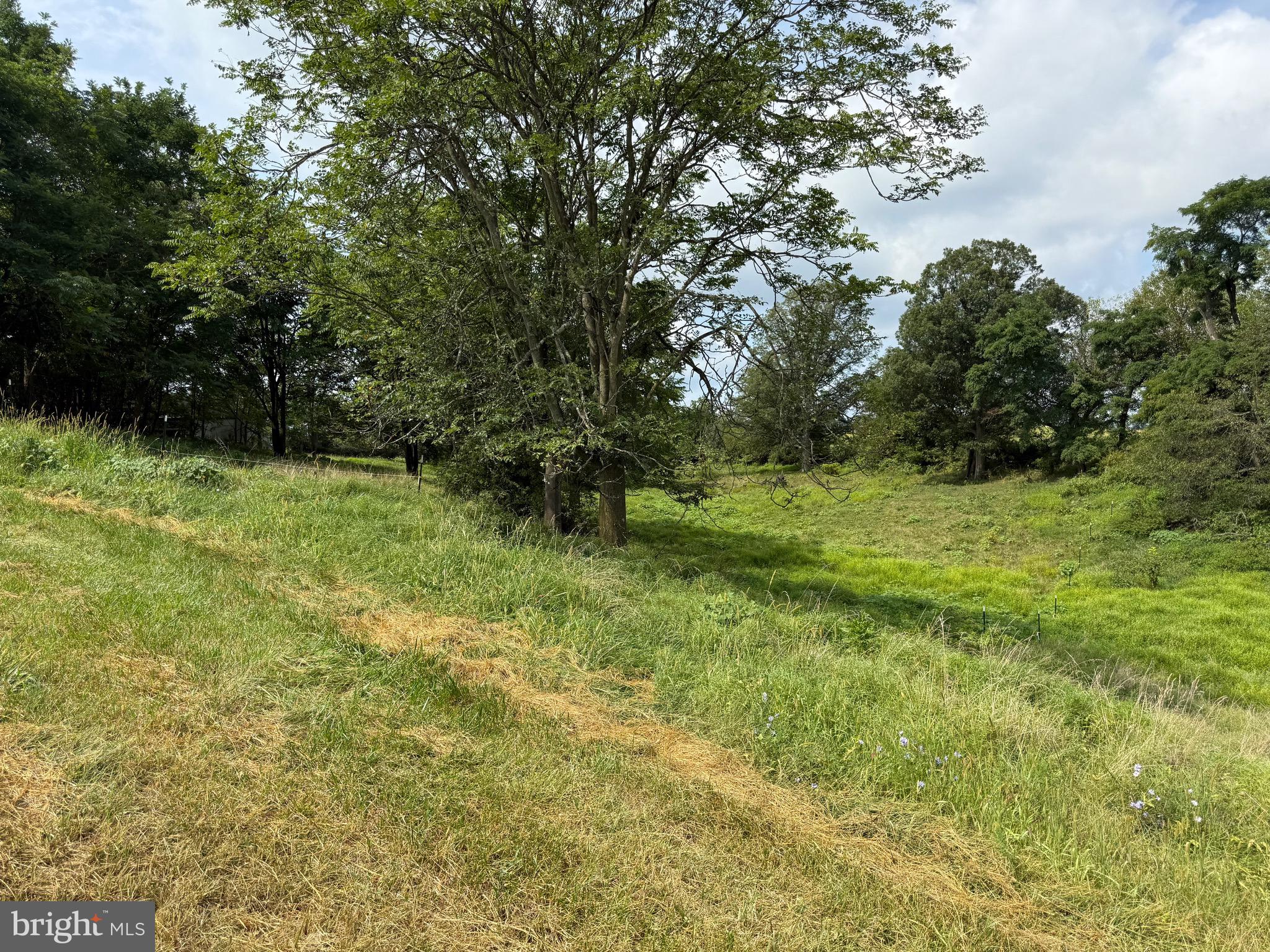 1309 Trevanion Road Union Bridge, MD 21791 - Photo 63 of 70