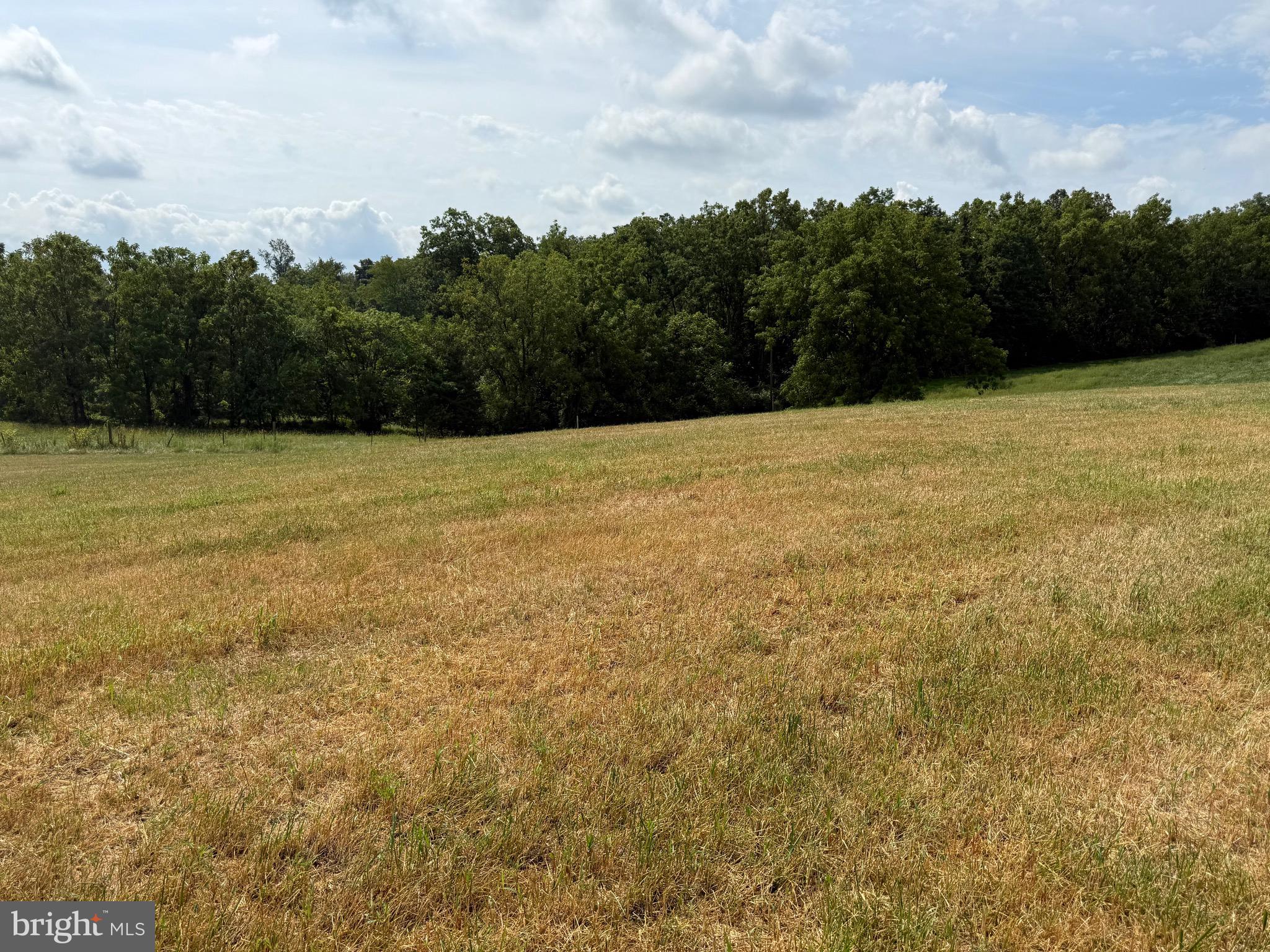 1309 Trevanion Road Union Bridge, MD 21791 - Photo 69 of 70 a view of outdoor space and yard