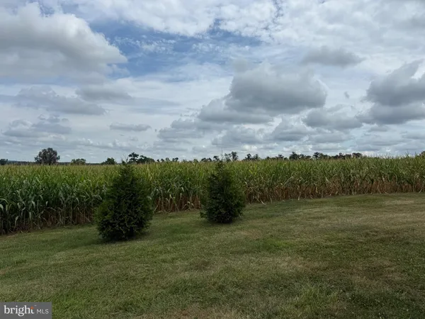 a view of a green field with wooden fence