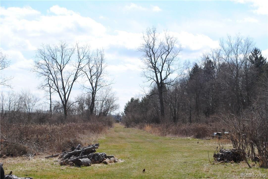 3147 Blue Bush Road Monroe, MI 48162 - Photo 5 of 6 DSC_0879.JPG