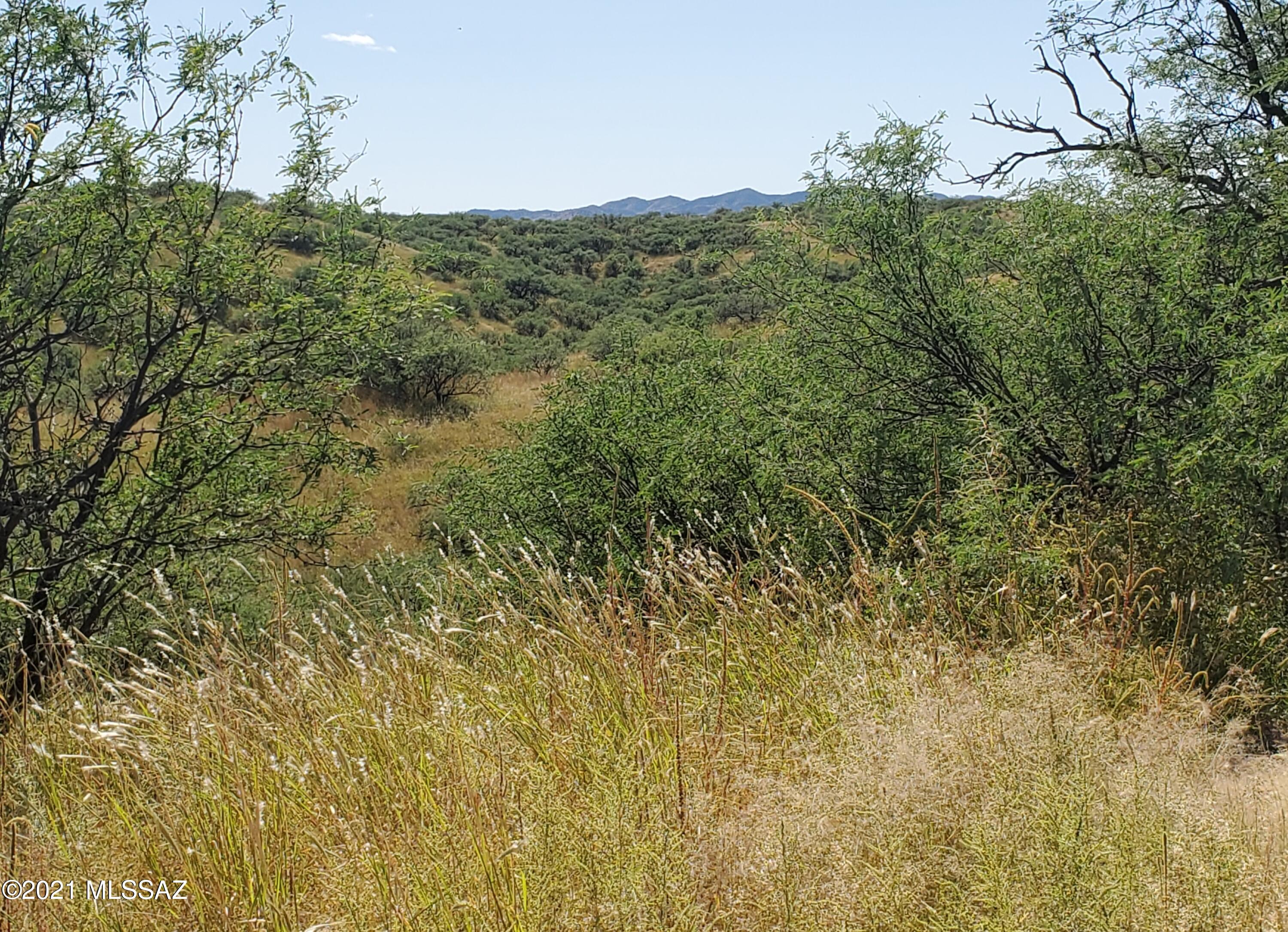 595 Mulberry Corte, Unit 64 Rio Rico, AZ 85648 - Photo 8 of 8