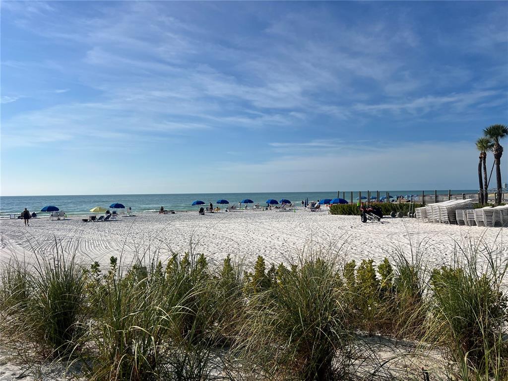 1001 Point Of Rocks Road, Unit 208 Sarasota, FL 34242 - Photo 31 of 33 a view of ocean with green space