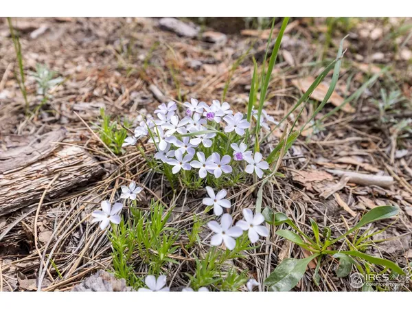 $949,000 | 3561 Sunshine Canyon Drive, Boulder, CO 80302