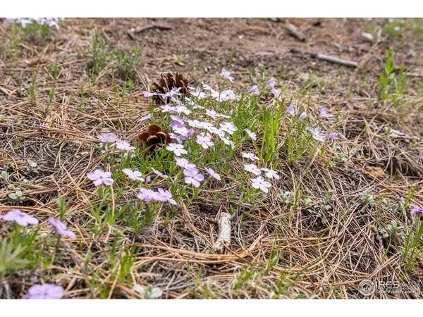 $949,000 | 3561 Sunshine Canyon Drive, Boulder, CO 80302