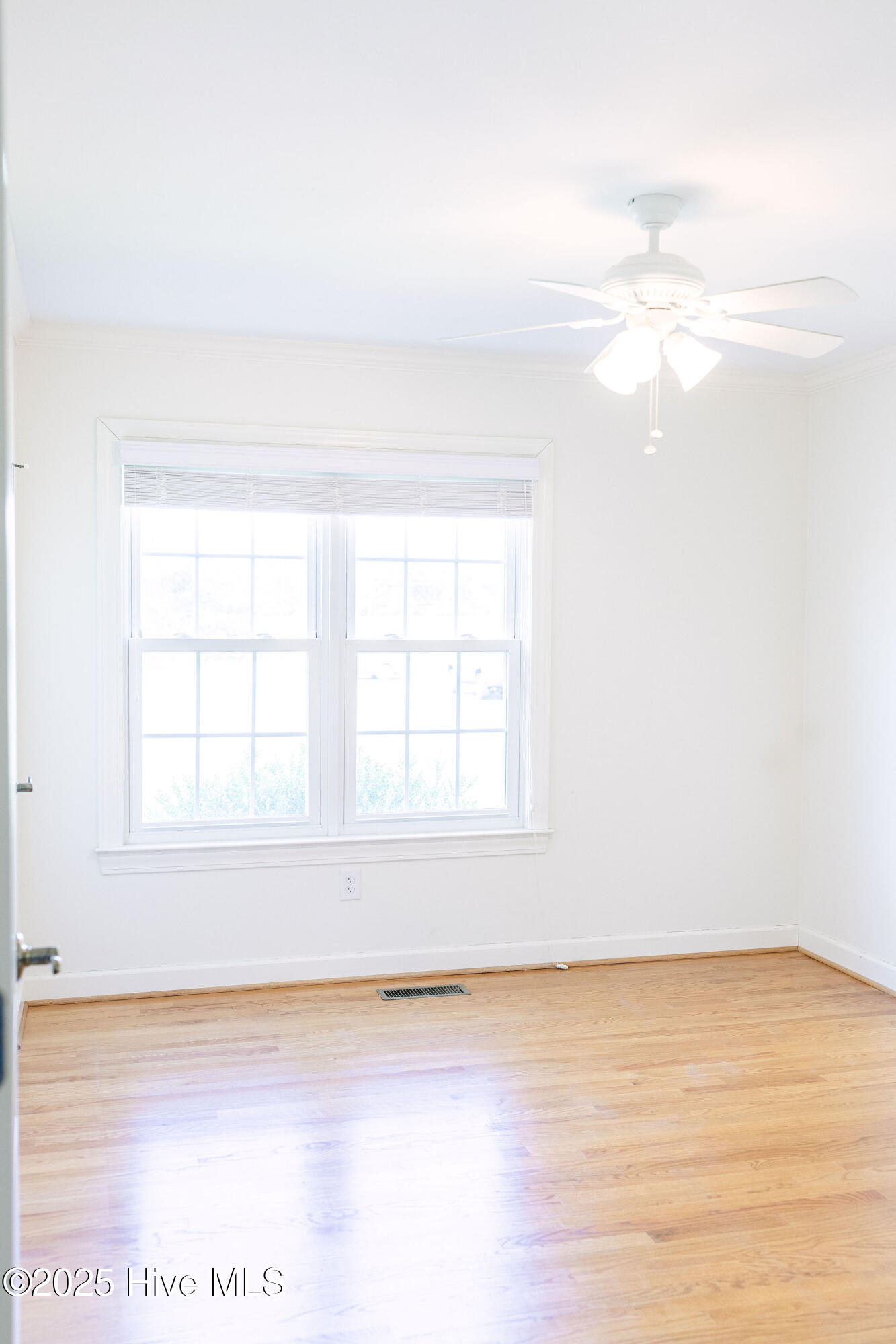 856 Jackson Store Road Beulaville, NC 28518 - Photo 41 of 65 48