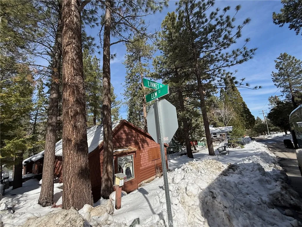0 Linnet Road Wrightwood, CA 92397 - Photo 5 of 7 a view of a park with a tree