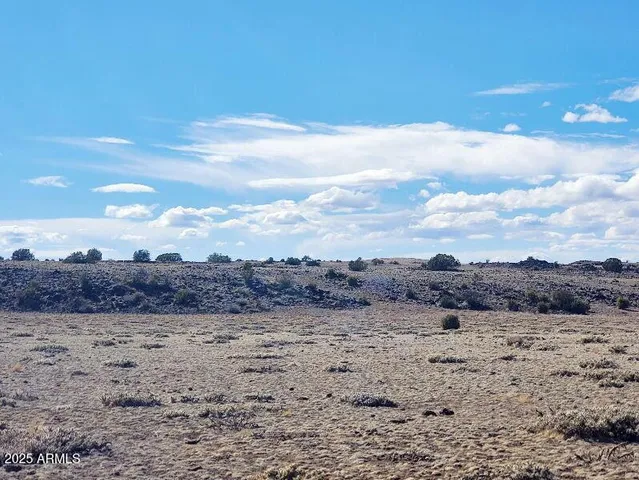 a view of a dry field with lots of bushes