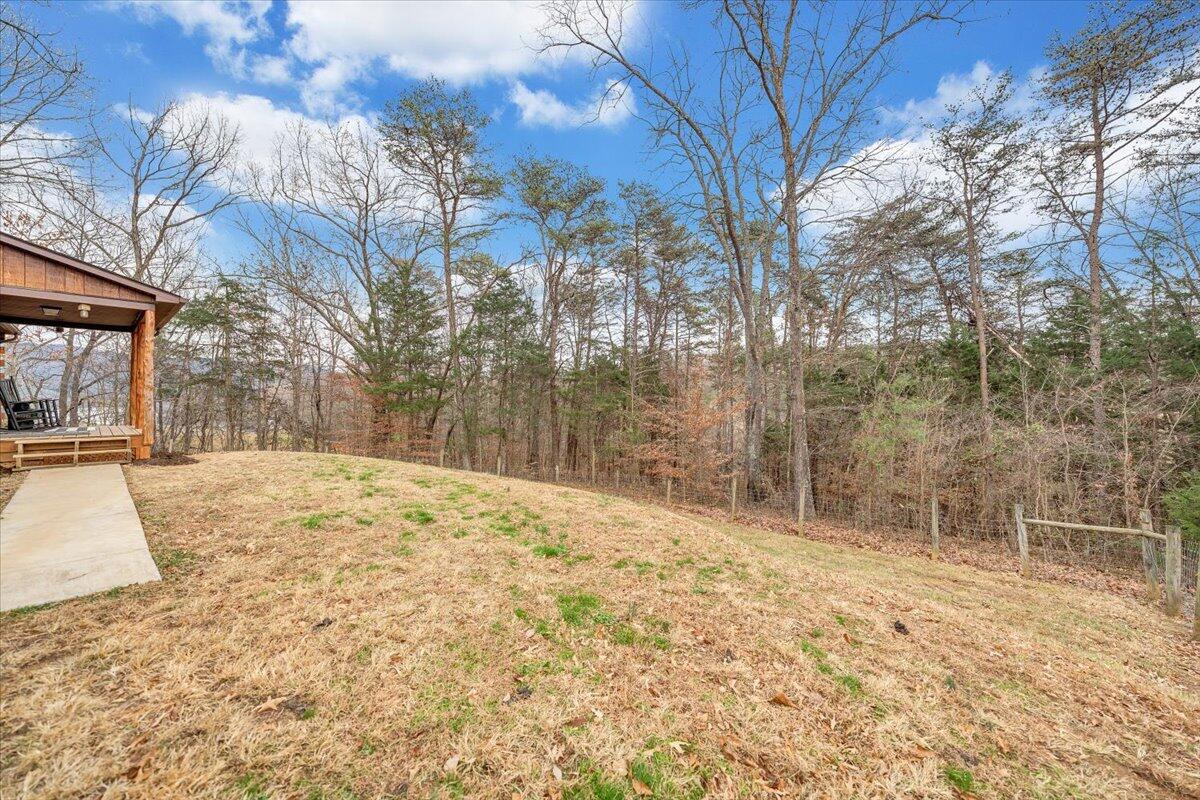 8013 Springwood Road Buchanan, VA 24066 - Photo 9 of 50 a view of a yard with snow on the road