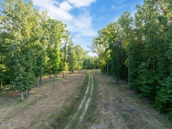 a view of a yard with a tree