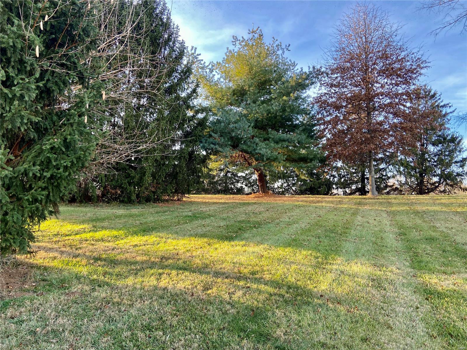 0 Lakeview Drive Waterloo, IL 62298 - Photo 5 of 10 Gallery Image 5