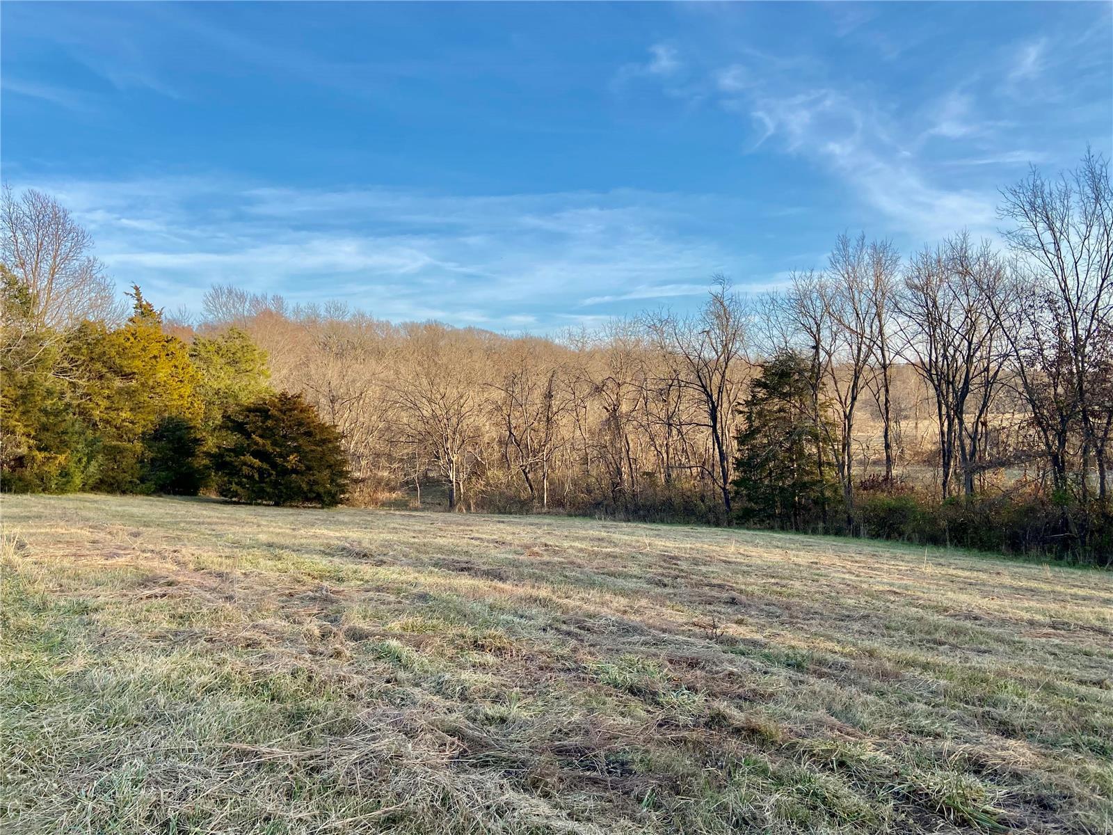 0 Lakeview Drive Waterloo, IL 62298 - Photo 6 of 10 Gallery Image 6