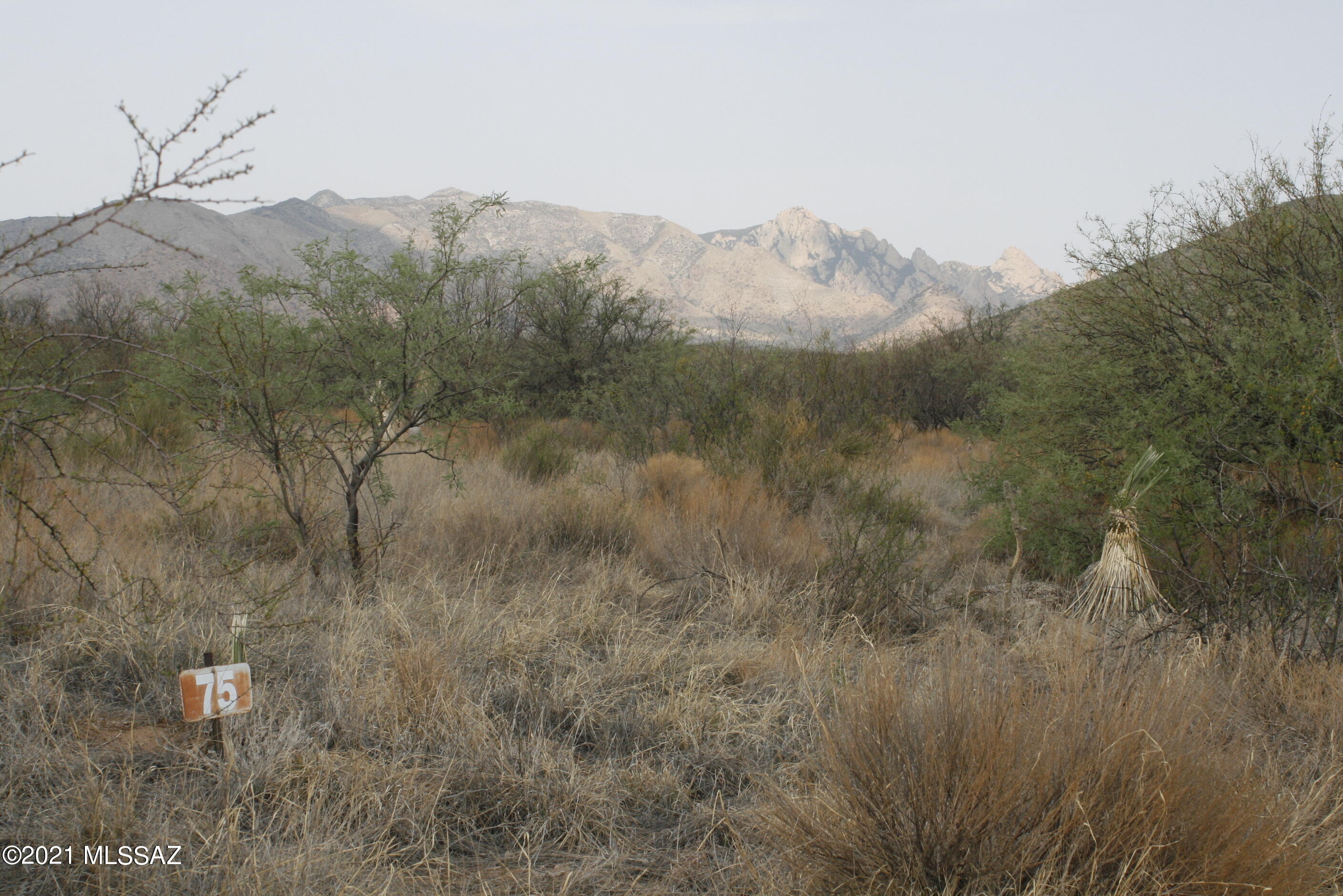 Lot 75 East Horse Ranch Road, Unit 1 St. David, AZ 85630 - Photo 1 of 23