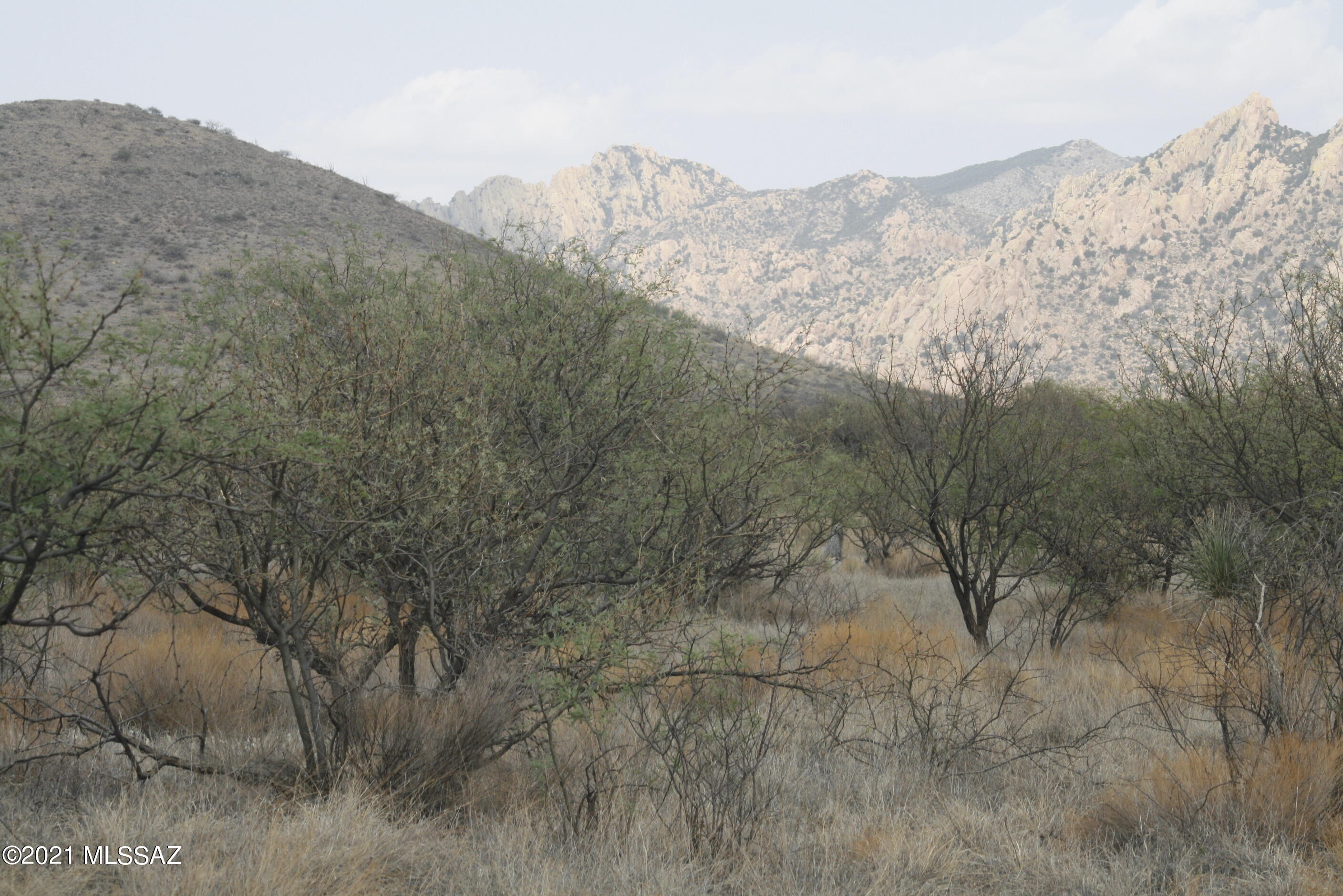 Lot 75 East Horse Ranch Road, Unit 1 St. David, AZ 85630 - Photo 4 of 23
