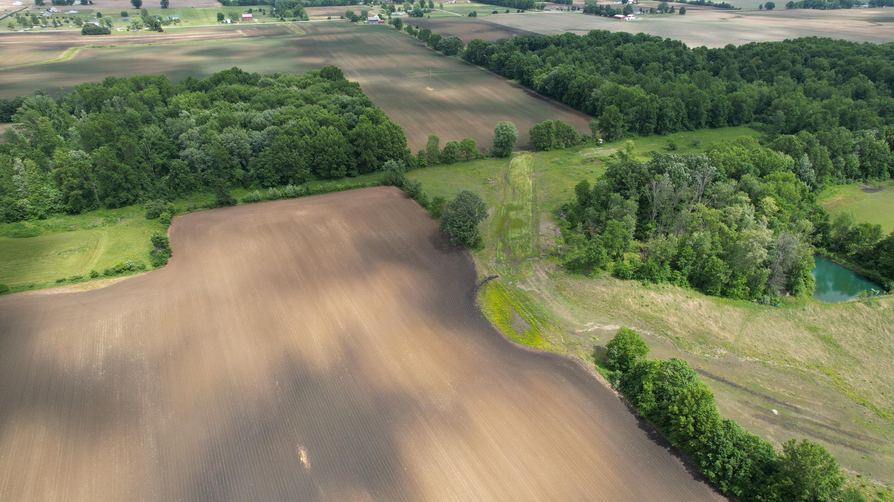 0 Fairchild Road Cardington, OH 43315 - Photo 8 of 16 Pond on neighbor land