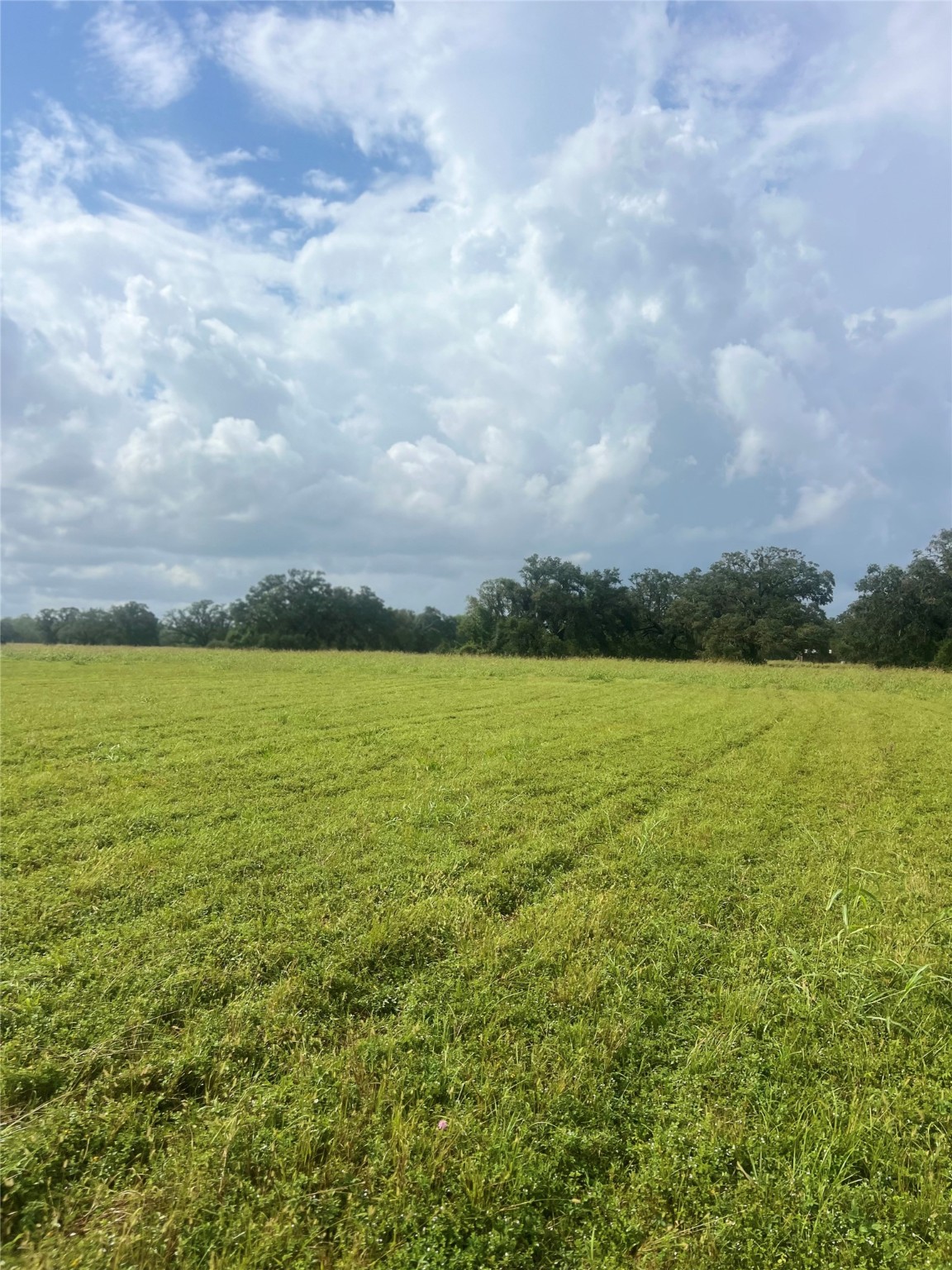 1238 Frontier Trail Angleton, TX 77515 - Photo 2 of 7 a view of an ocean and beach