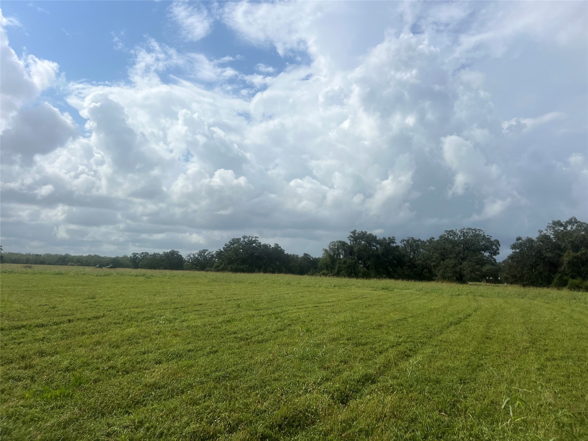 1238 Frontier Trail Angleton, TX 77515 - Photo 3 of 7 a view of a field with an outdoor space