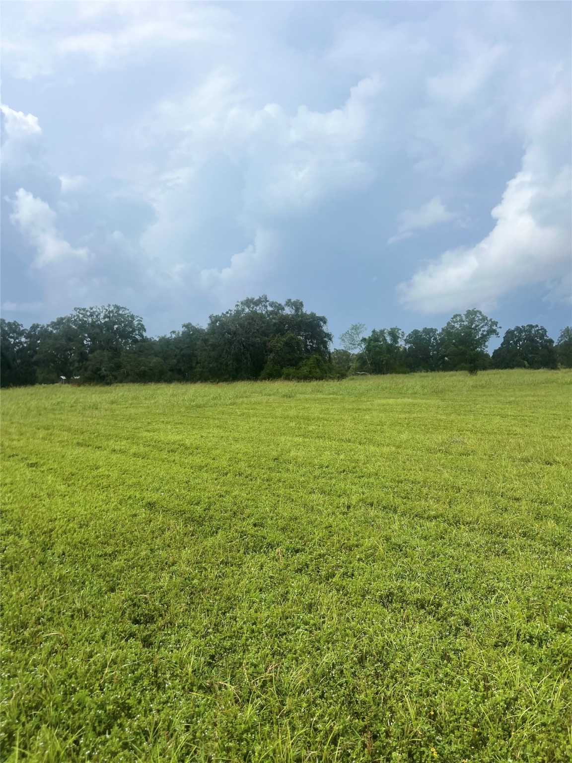 1238 Frontier Trail Angleton, TX 77515 - Photo 6 of 7 a view of a lake and a yard