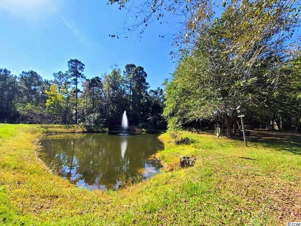 650 State Rd S-26-1010 Conway, SC 29526 - Photo 17 of 25 Gallery Image 17