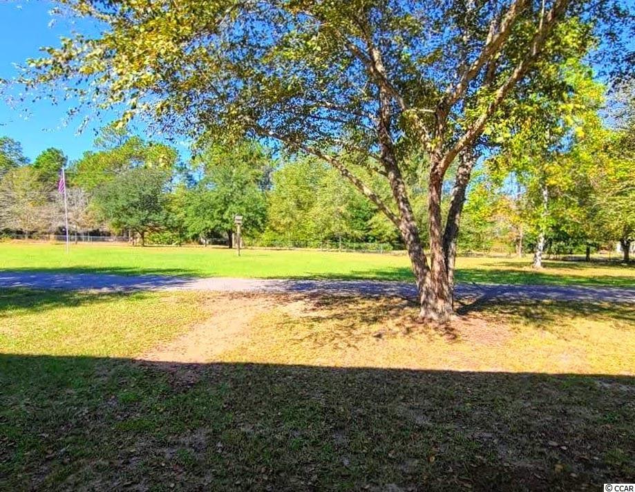 650 State Rd S-26-1010 Conway, SC 29526 - Photo 20 of 25 Gallery Image 20