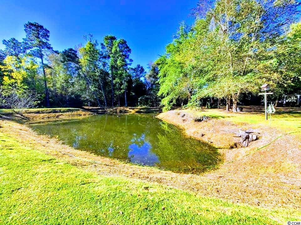 650 State Rd S-26-1010 Conway, SC 29526 - Photo 22 of 25 Gallery Image 22