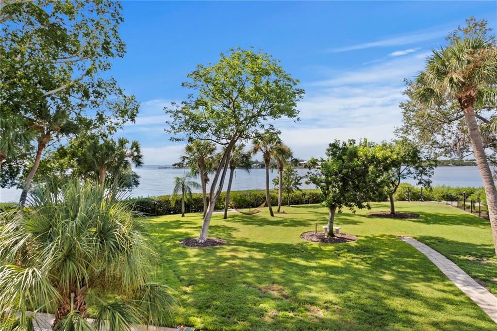 234 Driftwood Road Southeast St. Petersburg, FL 33705 - Photo 11 of 66 a view of a park with tree s