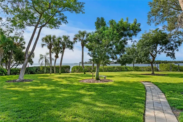 a view of yard with green space