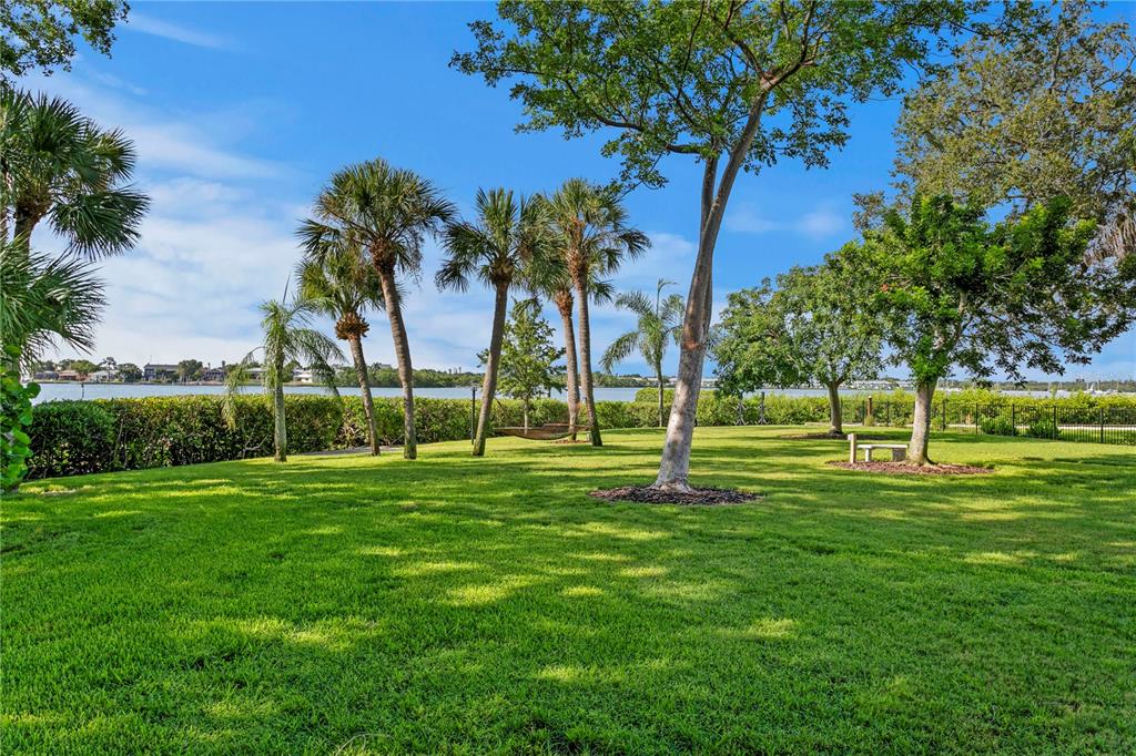 234 Driftwood Road Southeast St. Petersburg, FL 33705 - Photo 13 of 66 a view of a park and trees